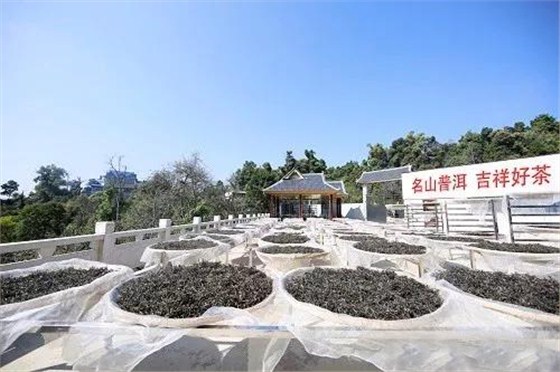 中吉号普洱茶