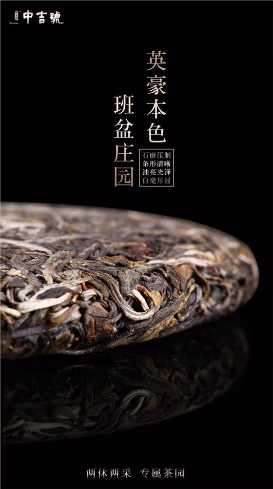 班盆普洱茶价格