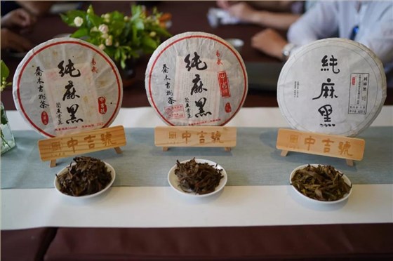 易武麻黑茶