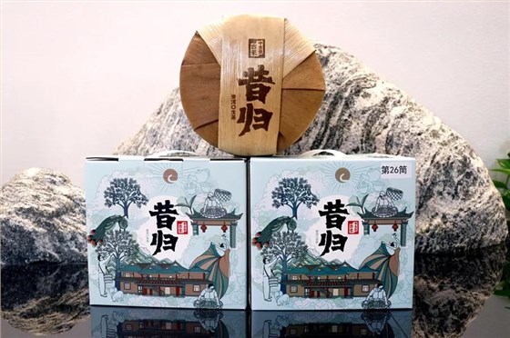 昔归普洱茶