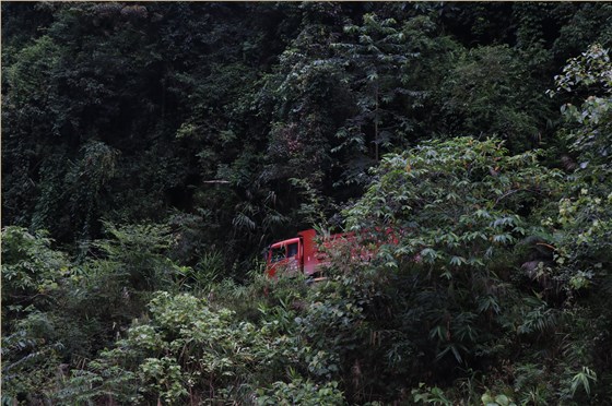 易武山路上运茶叶