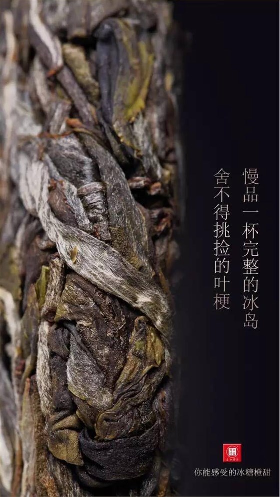 中吉号古树茶