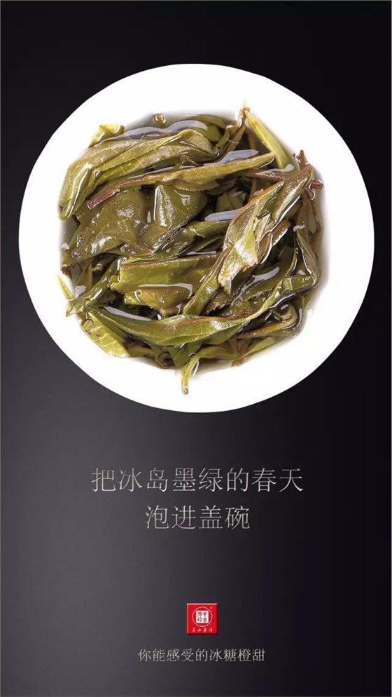 中吉号古树茶