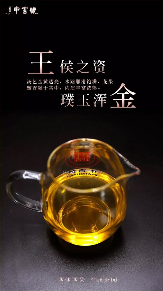 普洱茶价格表