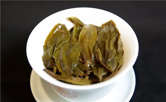 昔归普洱茶