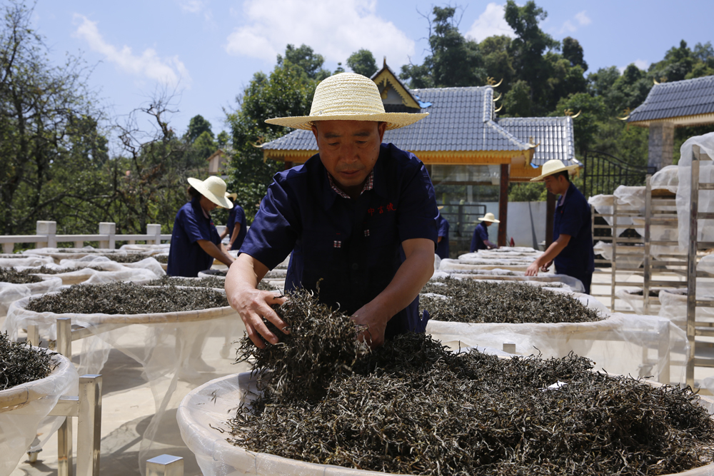 中吉号普洱茶