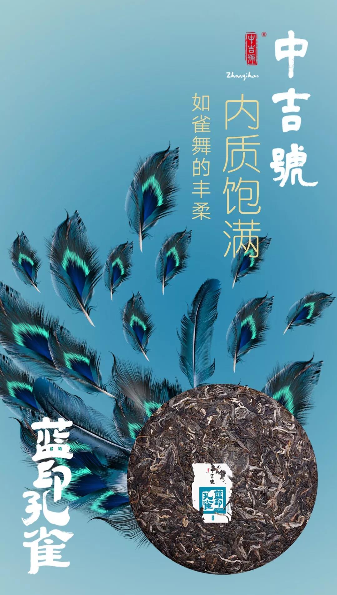 蓝印孔雀普洱茶