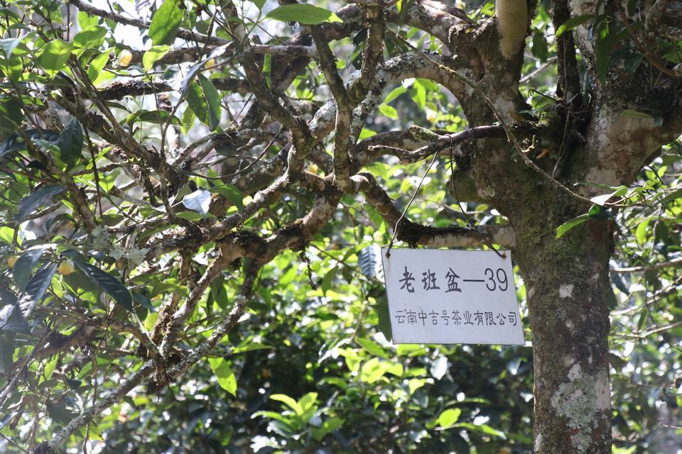 IMG_0641 IMG_0641