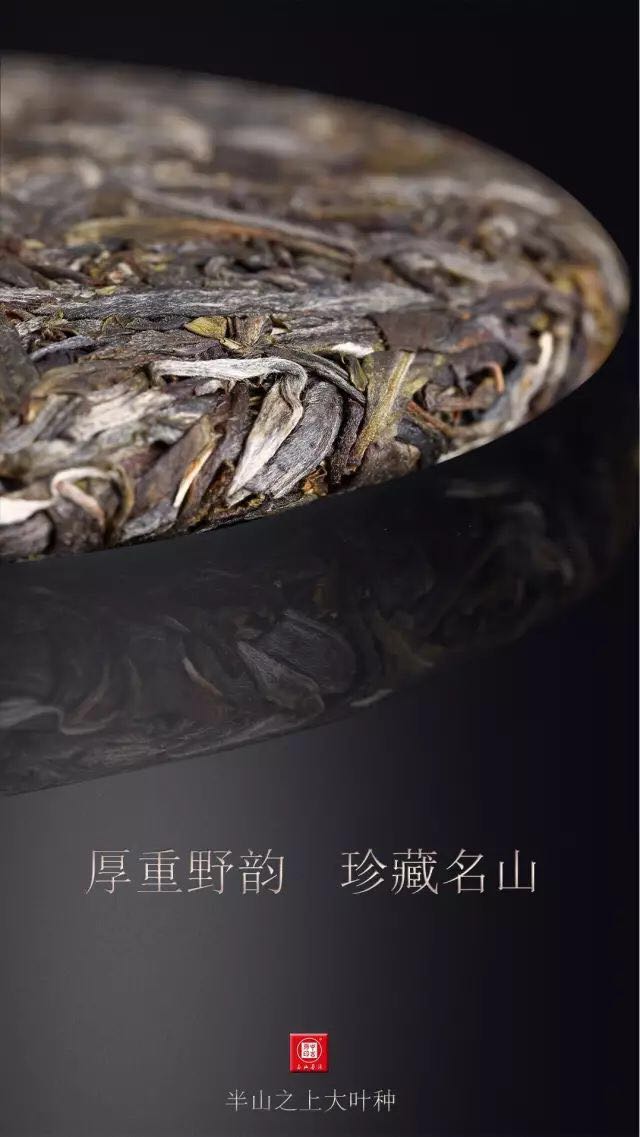 中吉号古树茶