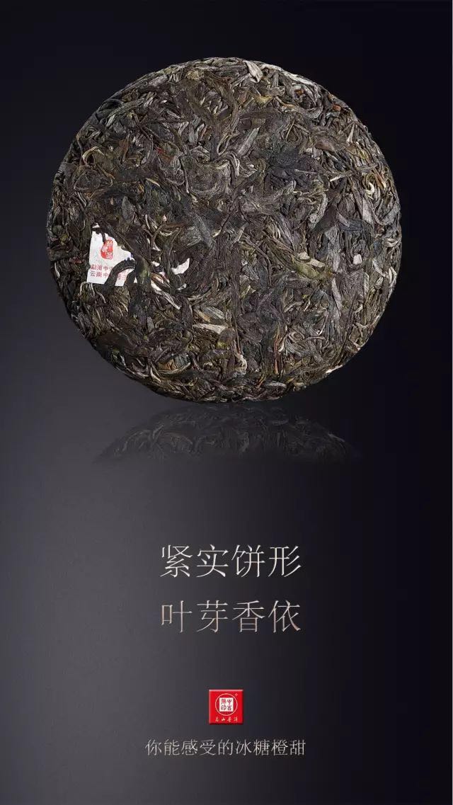 中吉号古树茶