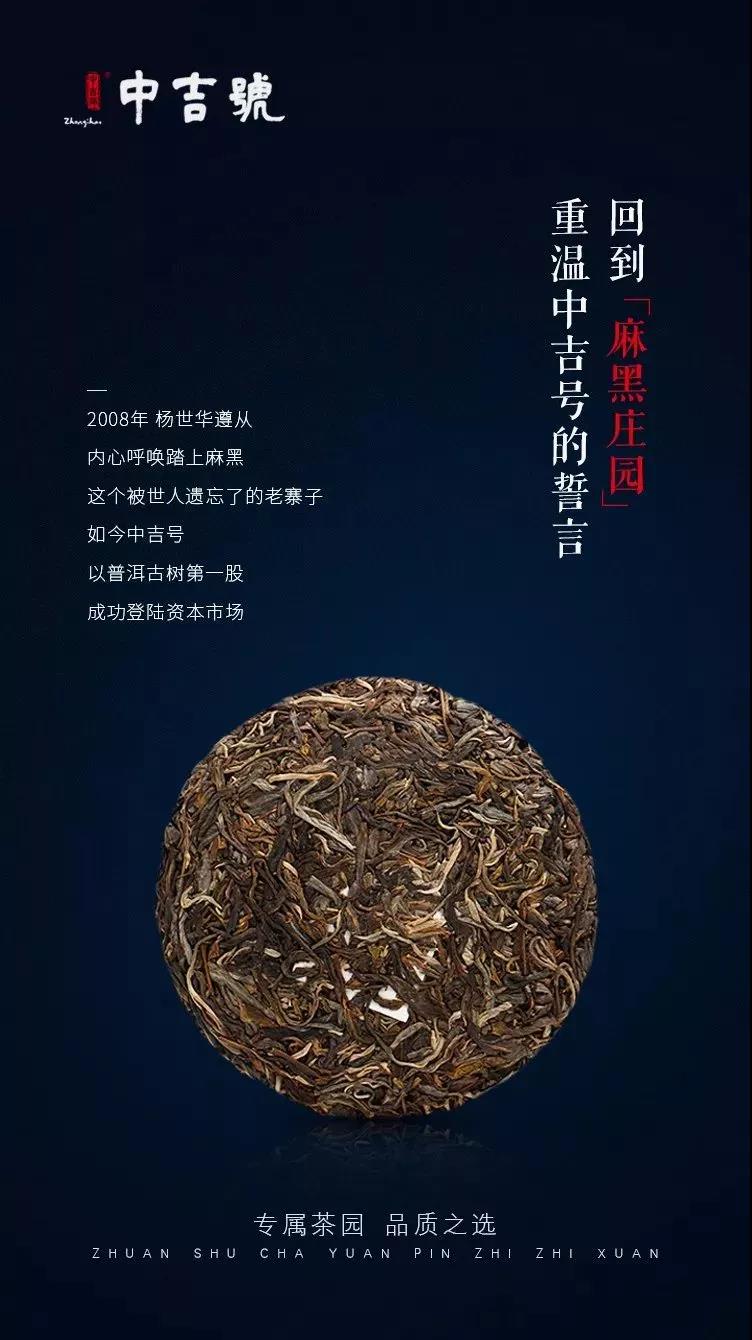 麻黑普洱茶价格